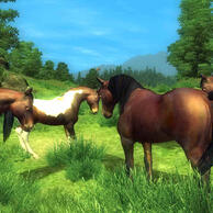 I also heart carseatheadrest and weezer(alrhough less than csh)